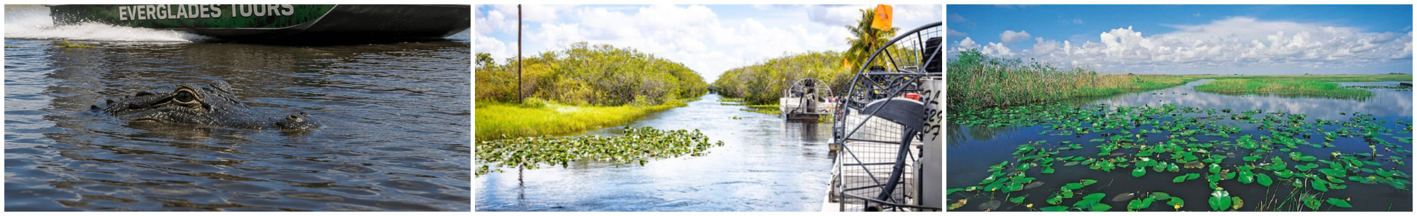Three images of swampy water scenes with vegetation and boats.