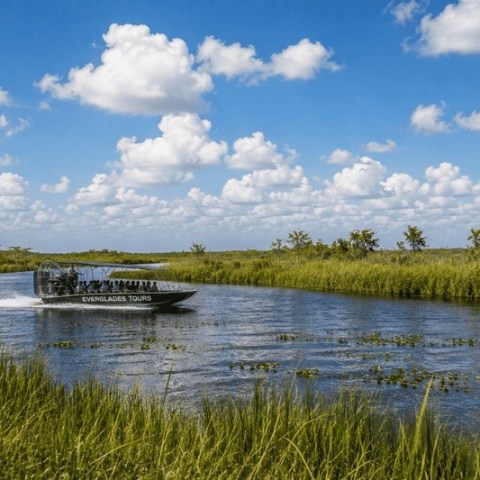 Everglades Eco-Adventure Tour Image