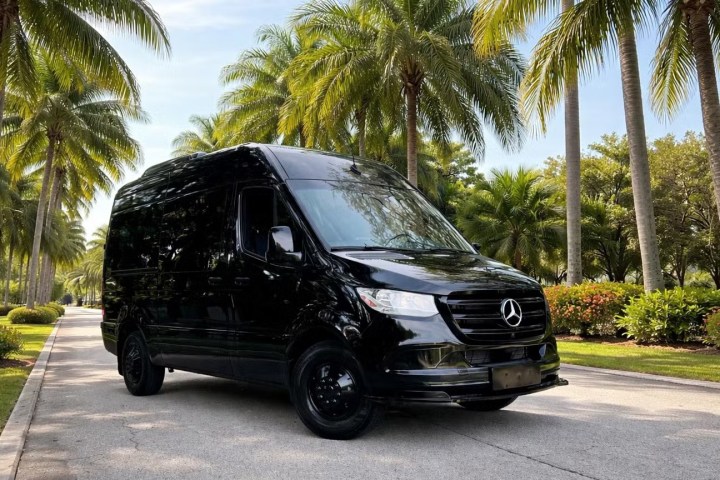 Black van parked on a sunny palm-lined street.