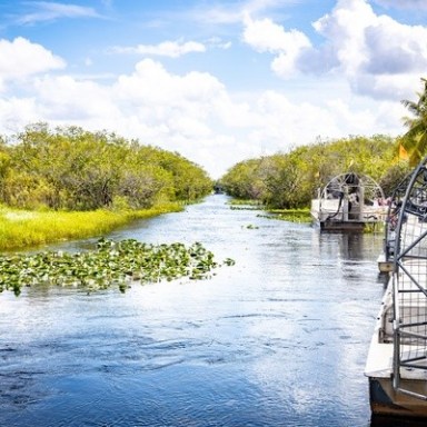 Everglades Eco-Adventure Tour