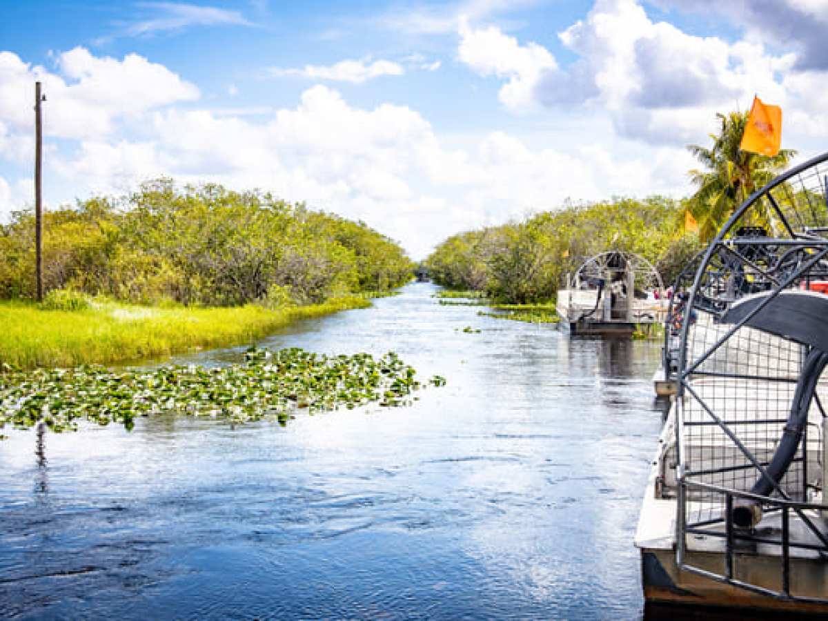 Airboats on a waterway with lush vegetation and a bright, cloudy sky.