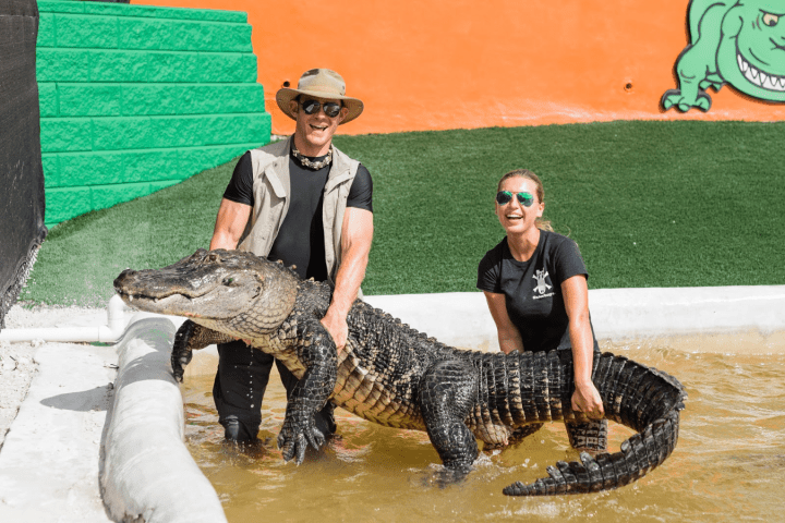Two people smiling and holding a large alligator in a pool area.