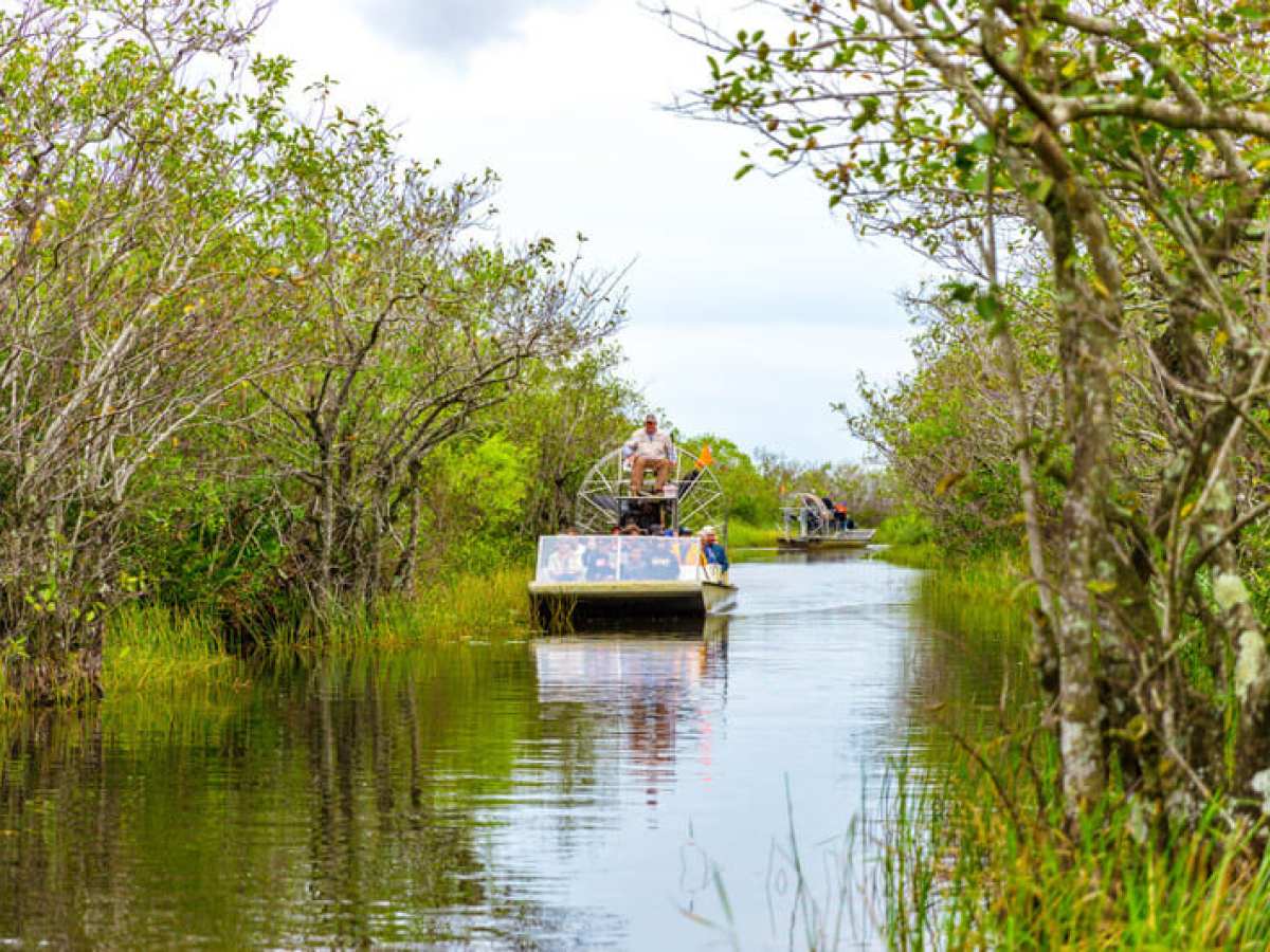Airboats navigating through a narrow waterway surrounded by dense green foliage.