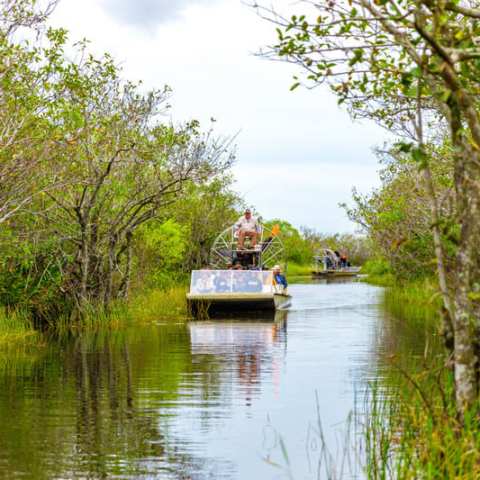 Airboats navigating through a narrow waterway surrounded by dense green foliage.